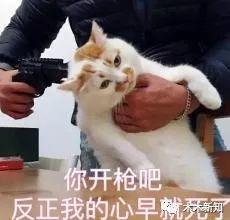 营销策划的创意与方法案例分享,医美100种创意营销方案