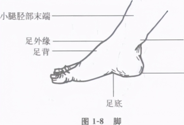 中国擒拿术擒拿十八法全教程,擒拿术基本功训练