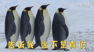 脑壳晕用什么中药,脑壳昏按摩什么穴位