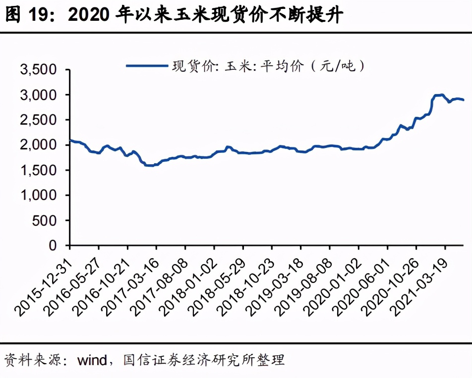 隆平高科种业官网,隆平高科种业龙头