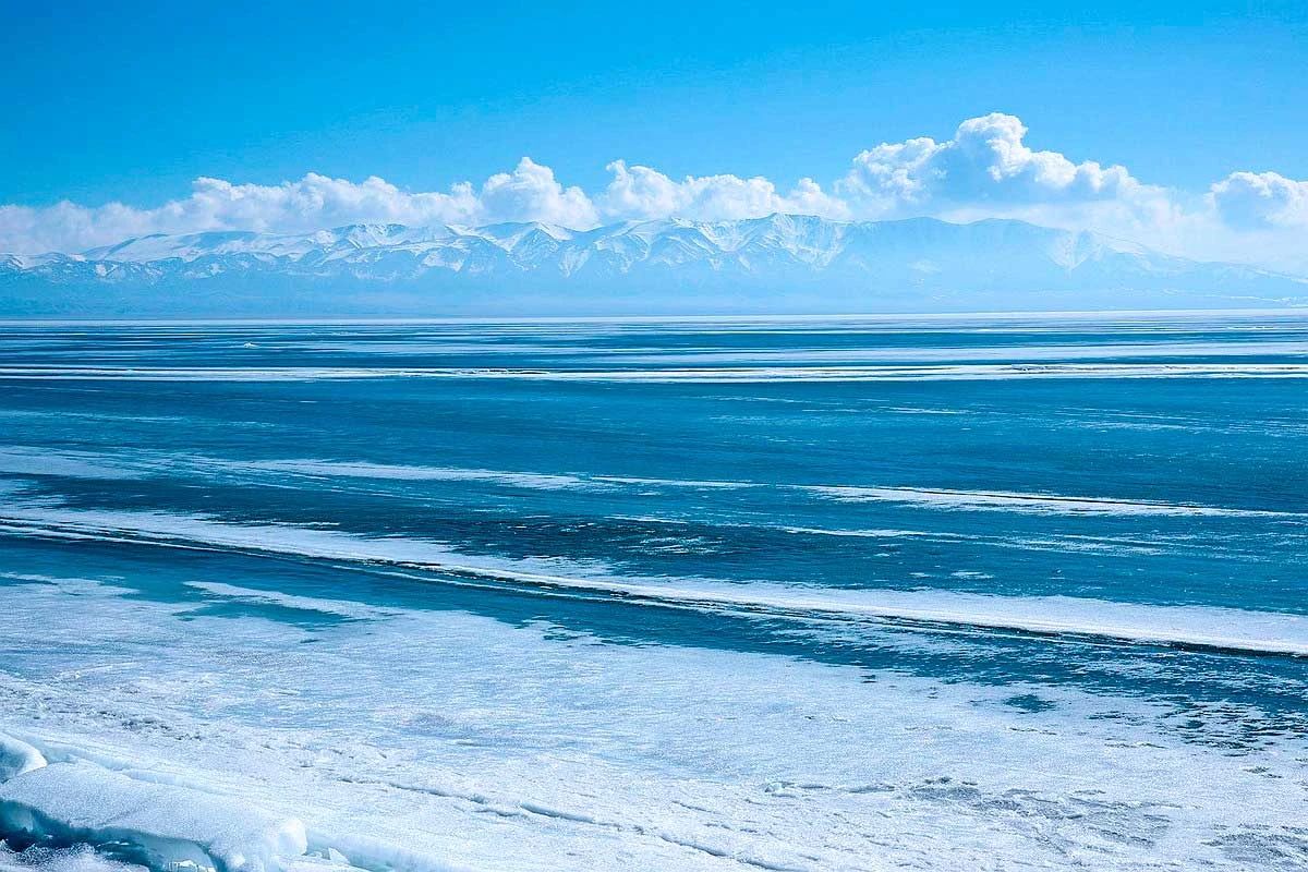 冬季的庭院景观,美丽如画的自然景观让人心旷神怡