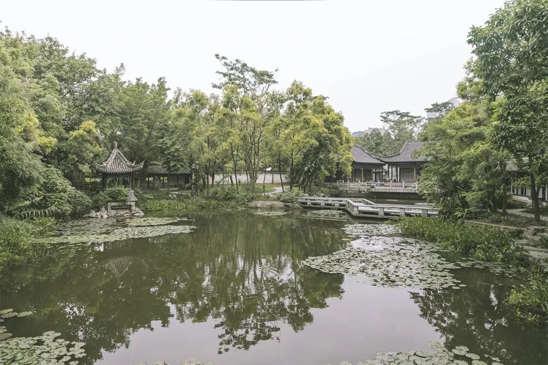 去深圳免费游玩的10个地方,深圳免费游玩景点推荐