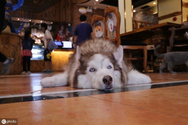 什么是考研真正的意义,考研我们需要知道什么