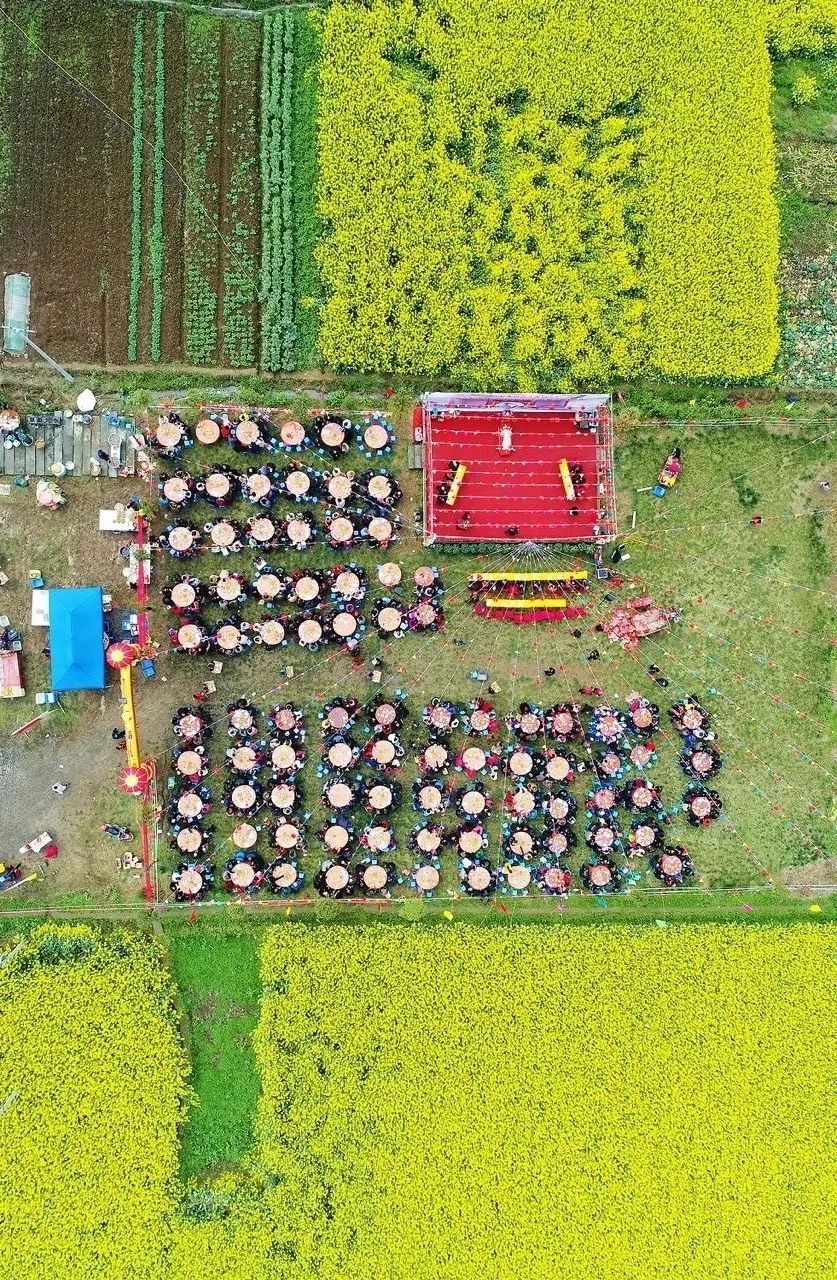 青白江不修地铁是真的吗,青白江不通地铁是地理原因吗