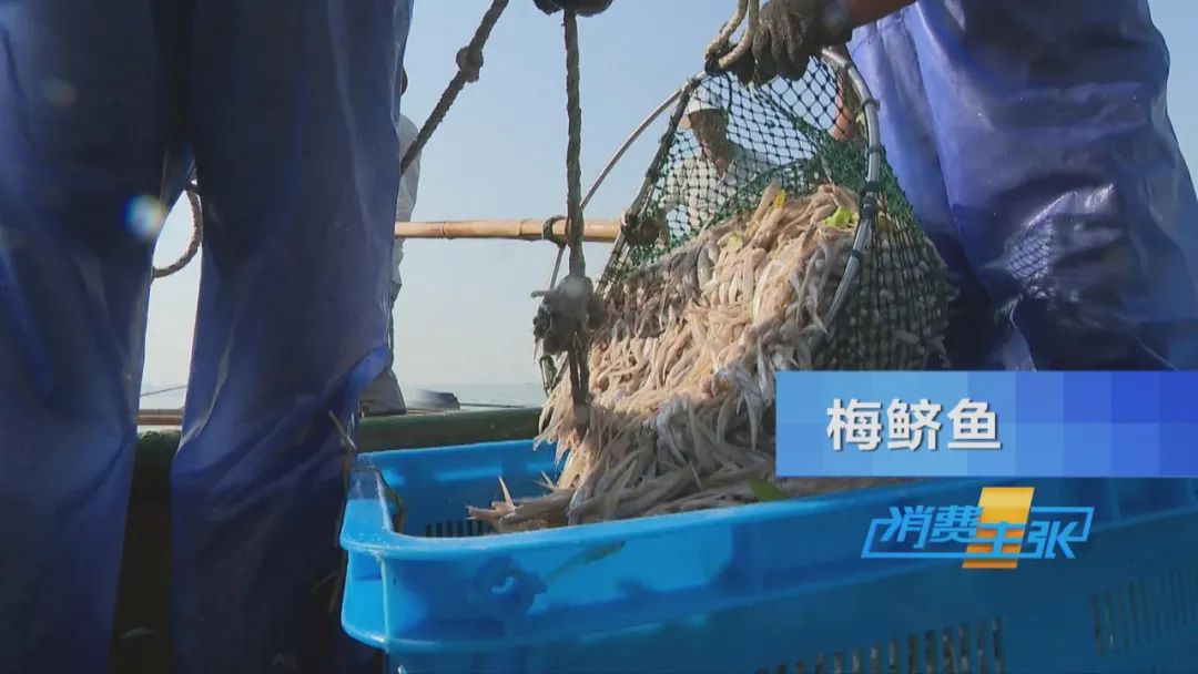 直击太湖开湖现场！鲜美湖鲜大量上市，资深吃货准备好了吗？