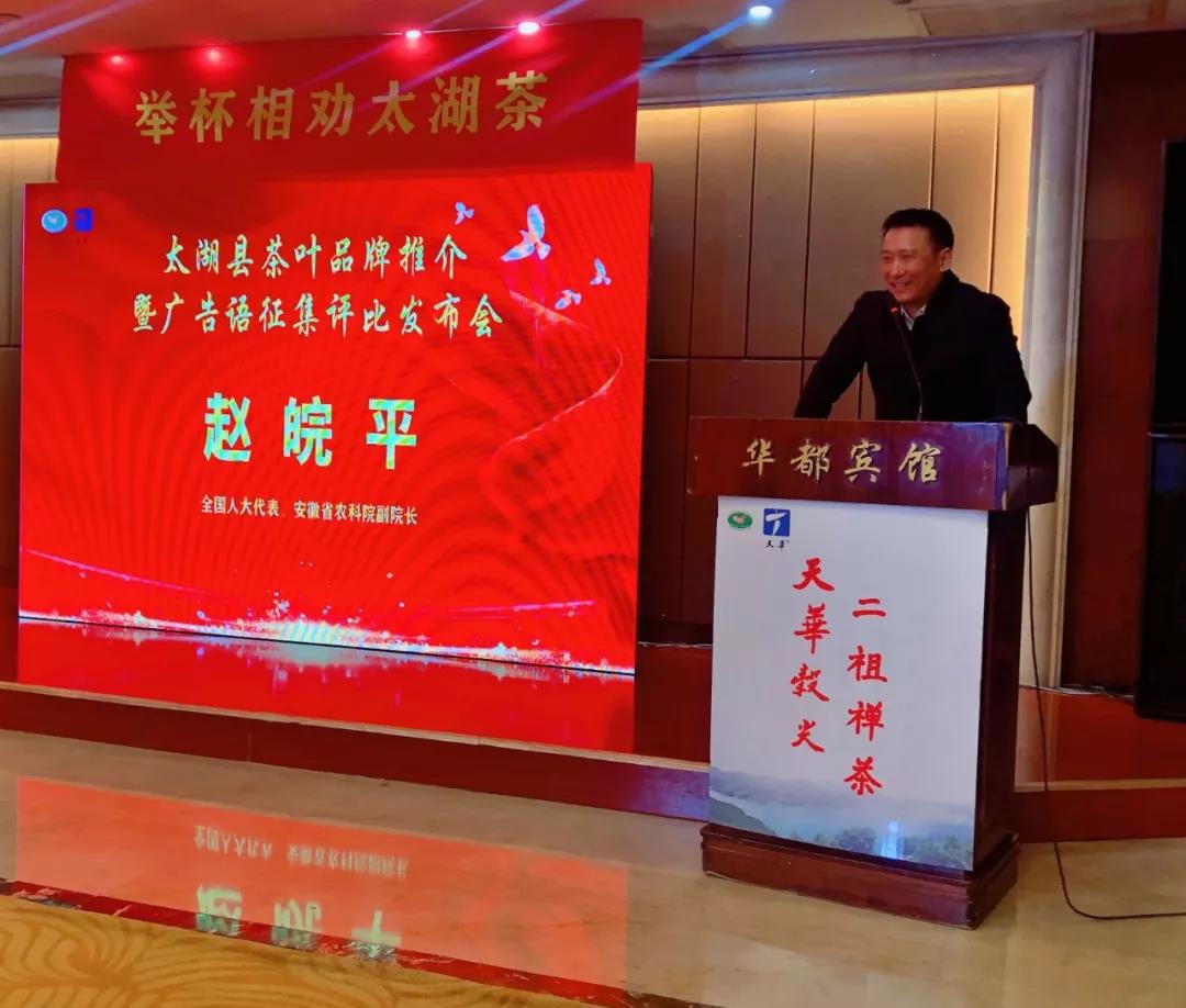 茶叶公共品牌宣传语征集,太湖茶叶广告语宣传语