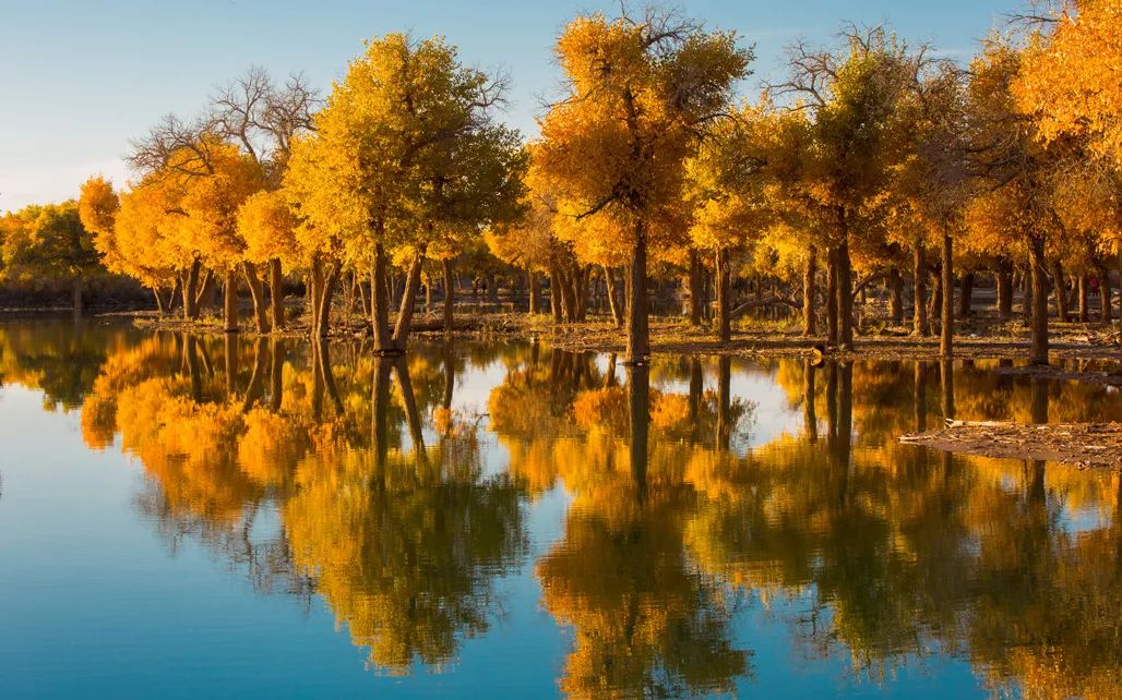 额济纳旗住宿一般多少钱,国庆额济纳旗胡杨林攻略