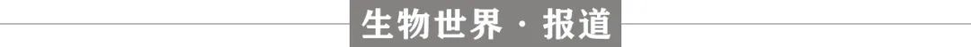转基因技术最新研究成果,转基因技术带来的灾难性后果实例