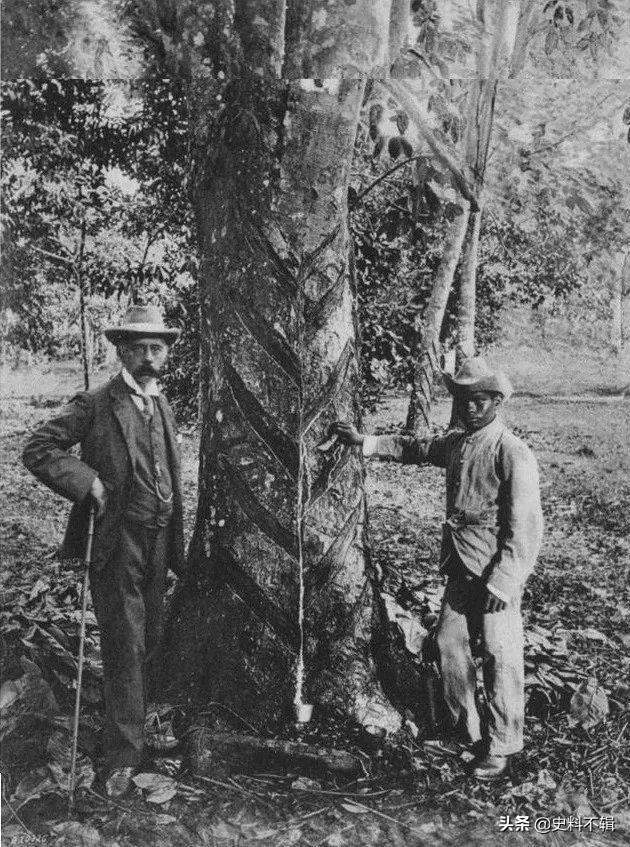 偷葡萄牙橡胶屡遭失败，中国人助力英国工业革命却惨遭殖民剥削
