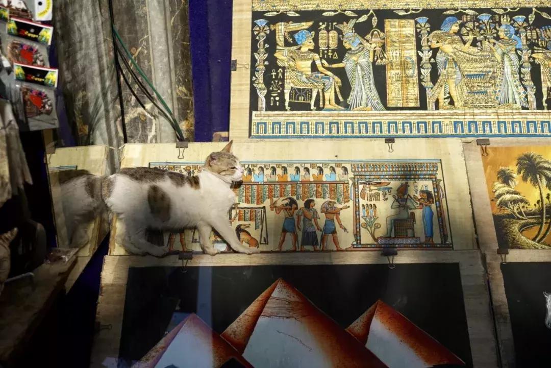 淘世界好玩吗,淘世界餐饮家具