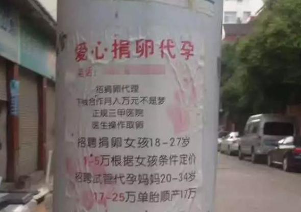 “真的一点都不疼”，18岁女孩*市黑**卖卵，针管刺入后疼哭在手术台
