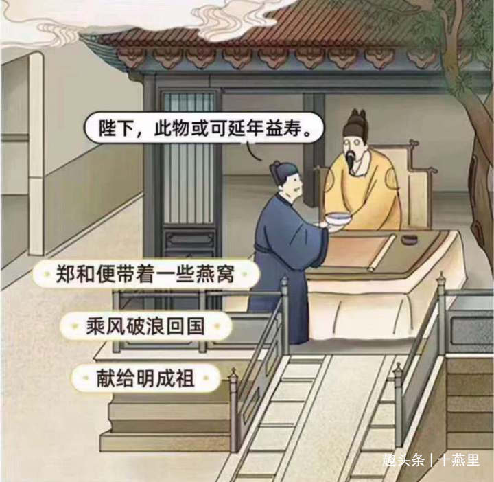 燕窝真实故事视频,燕窝的相关记载