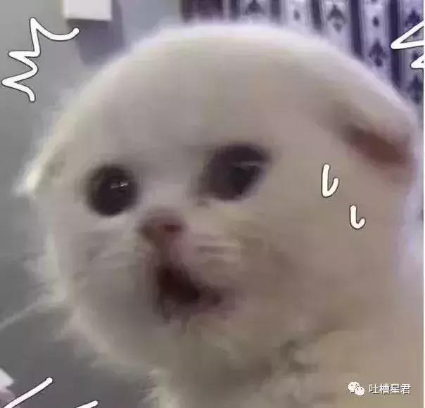 58代购香奈儿,香奈儿58代购多少钱一支