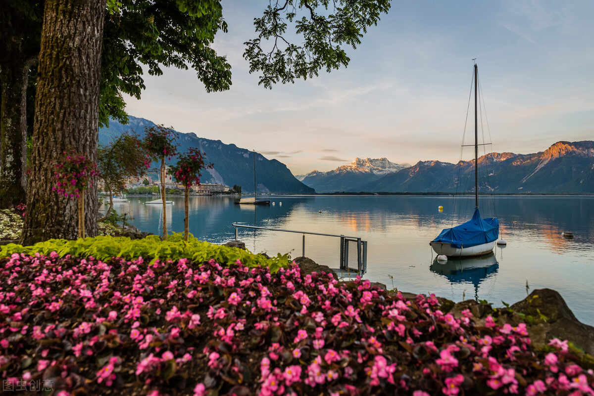 阿佳妮伊莎贝和巩俐,巩俐阿佳妮的关系