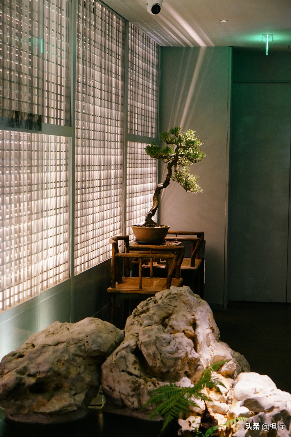 这家北京二环内的粤菜馆,装修获大奖,松板肉、乳鸽、罗氏虾惊艳