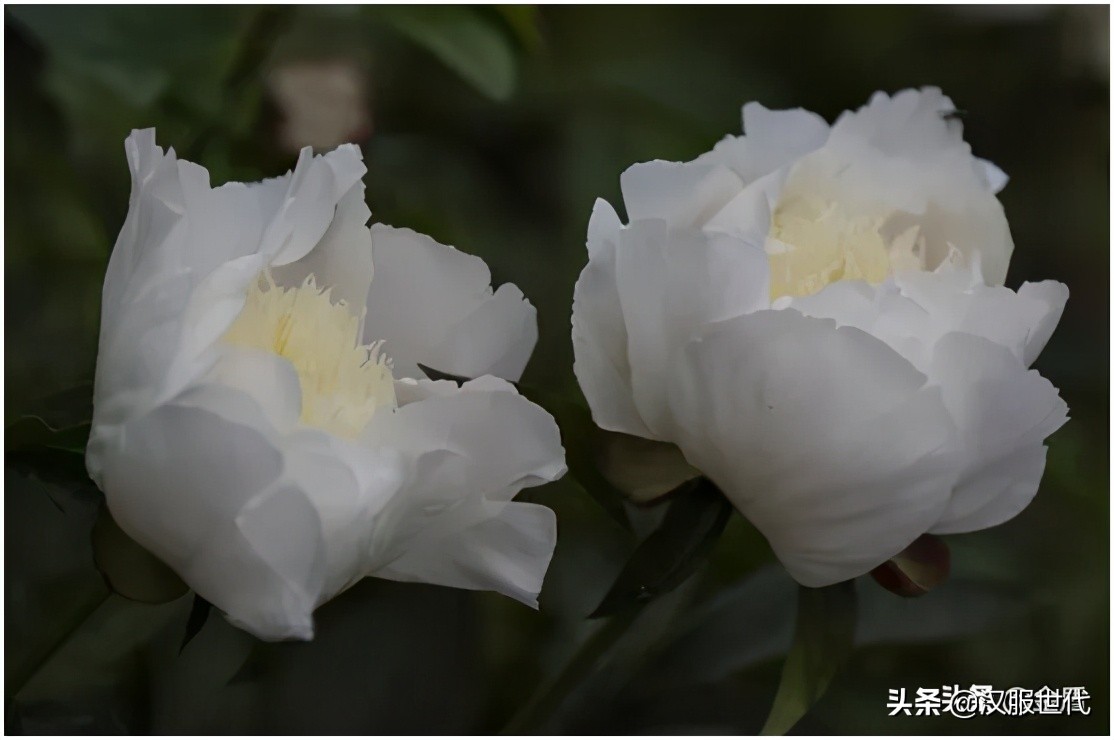 宋人极简的美学追求,宋人美学吸引人的境界