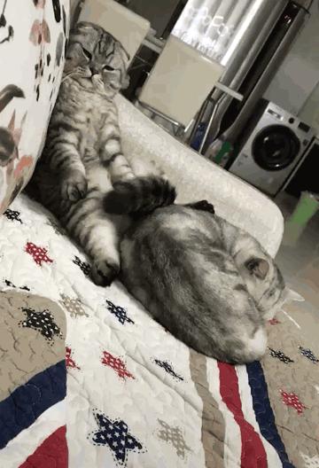 穿恨天高坐地铁的社死现场,两位男士都不忍看这次“崴脚表演”