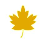 图片格式png8和png24,png和pdf格式