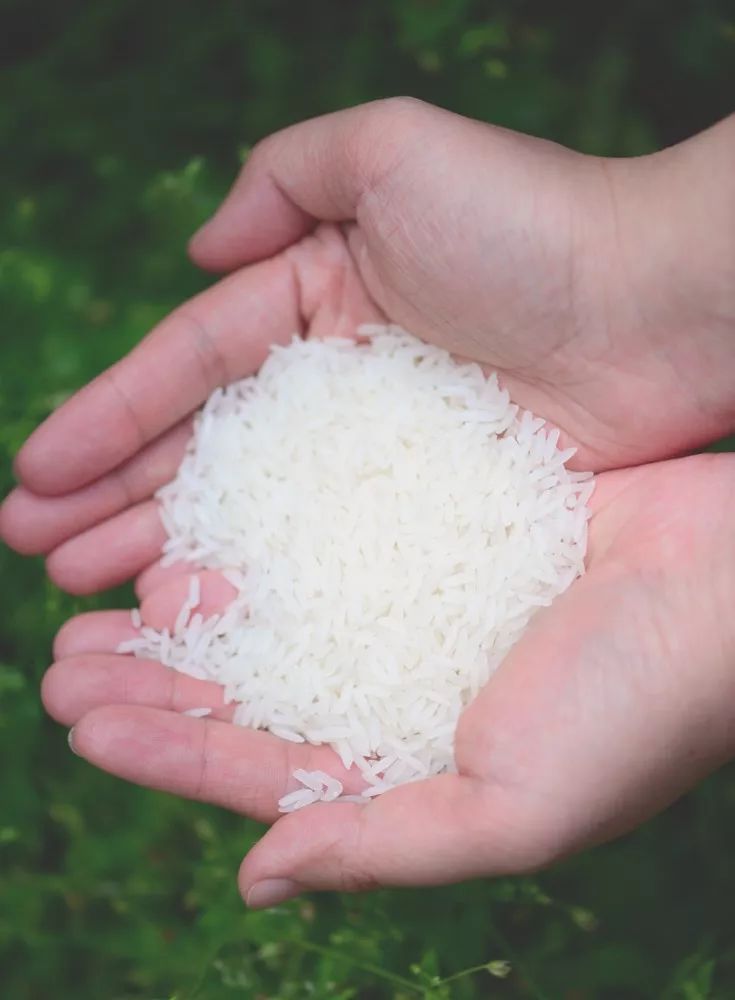 全世界的米,全世界米面