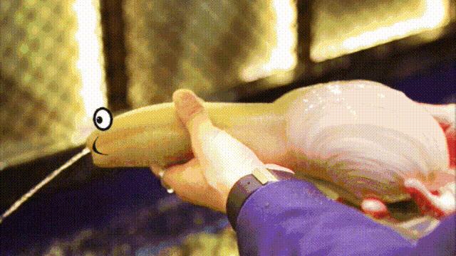 蚬蚌蛏的区别是什么,蚶子蛤蜊蚬子区别