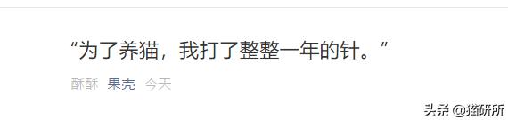 吸猫不得不知道的常识,沉迷吸猫的原因