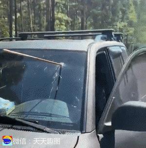 搞笑动图gif手机如何制作,搞笑动图gif图片