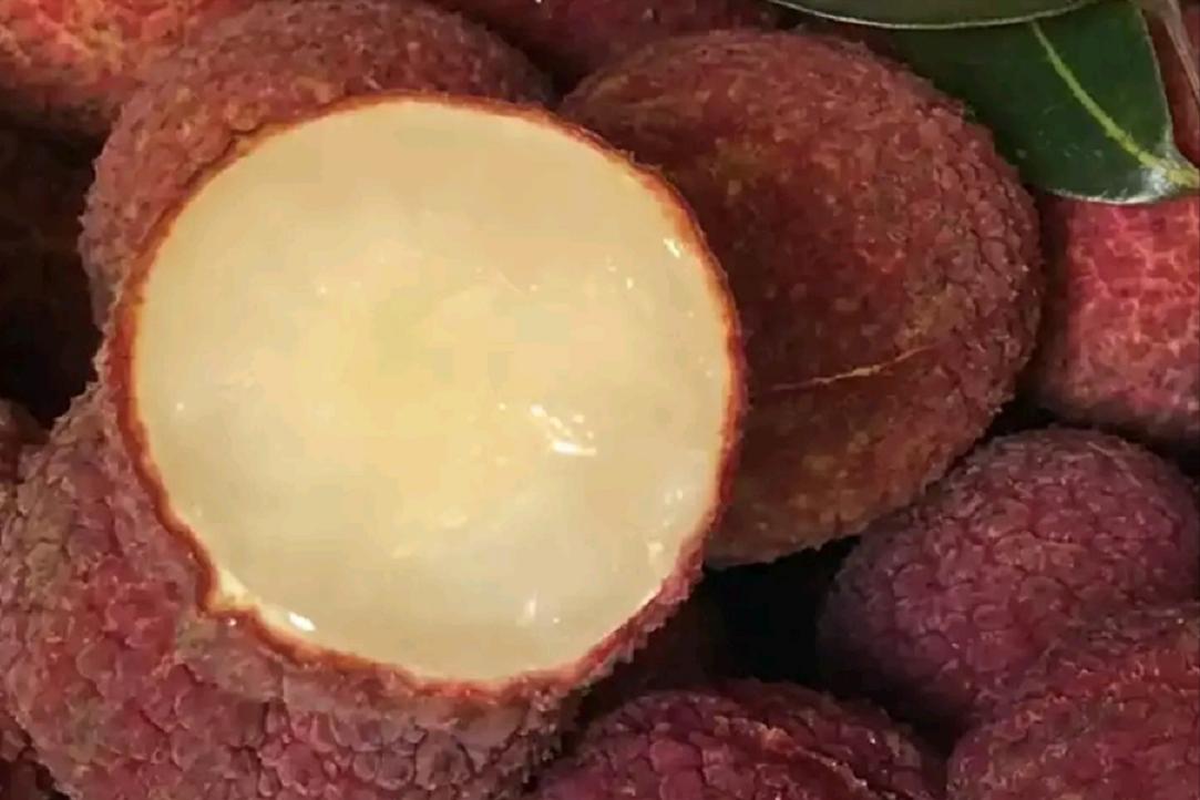 荔枝降价原因,没有核的荔枝多少钱一斤