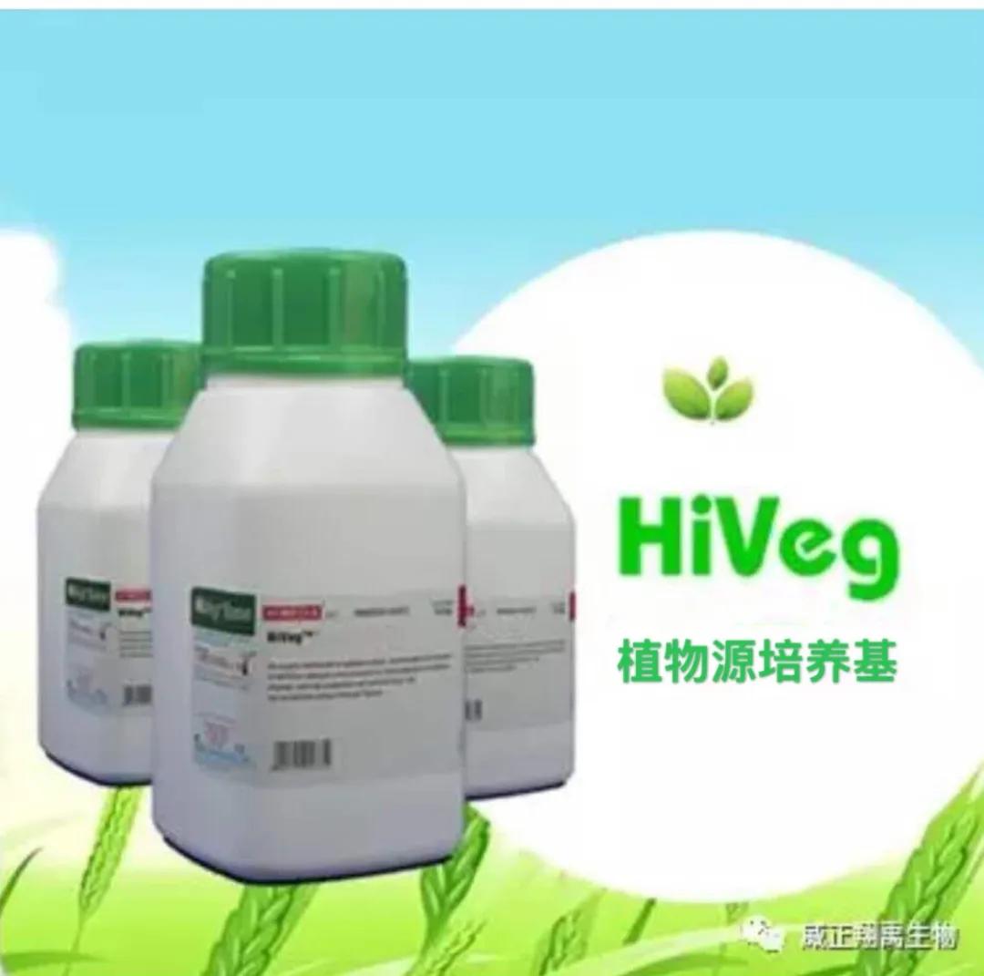 食品中沙门氏菌的检测视频,食品菌群检测