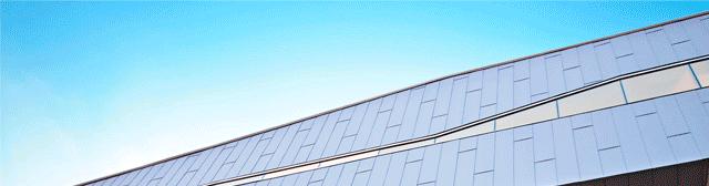 亚裔男子骗了美国富豪,亚裔小伙骗亿万富翁