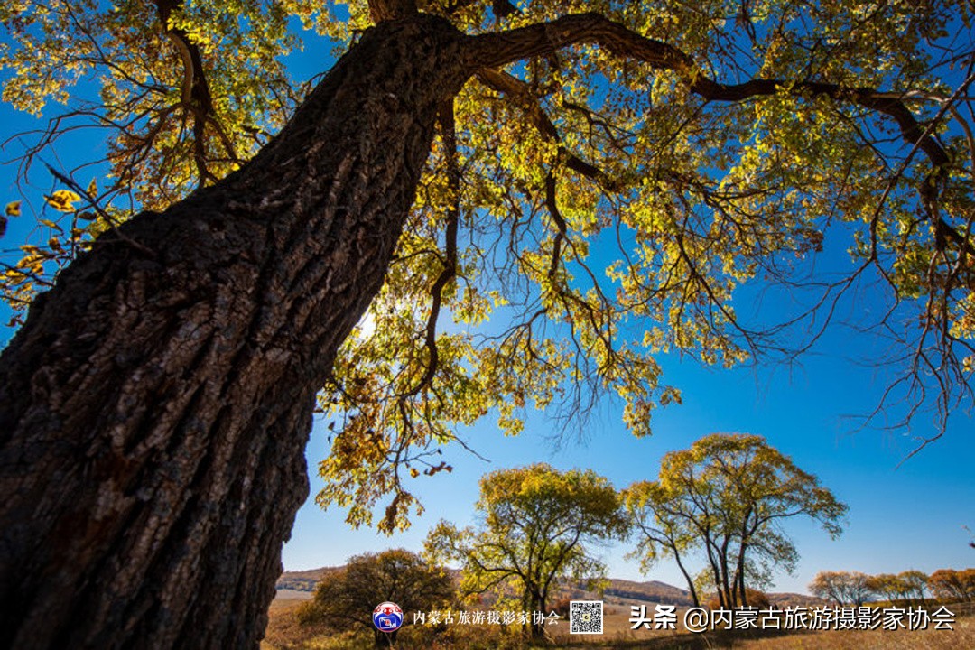 那山那水那滋味,那山那水那份爱