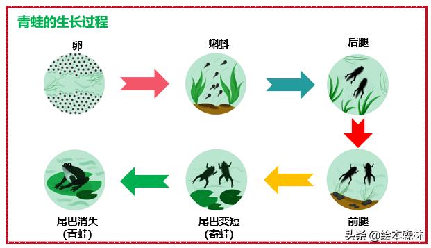 思维导图流程图制作方法,思维导图流程图软件