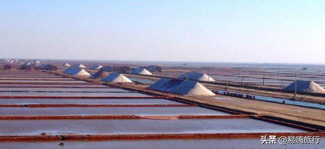 天津周边踏春好地方,天津一日游踏春路线