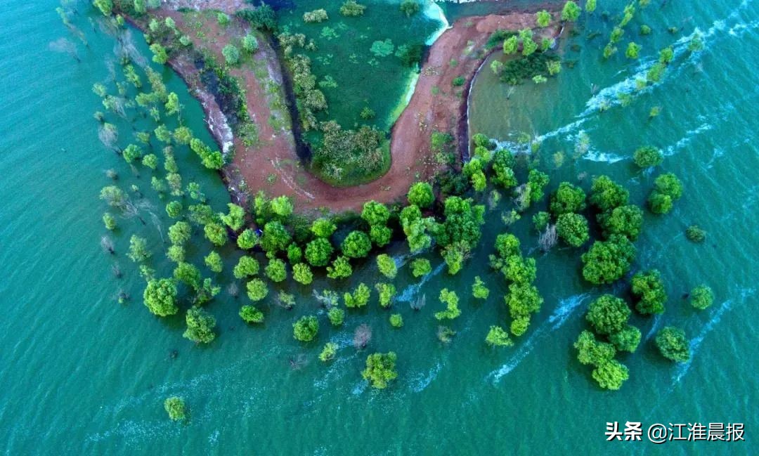 合肥靠什么逆袭的,合肥到底靠什么发展起来了