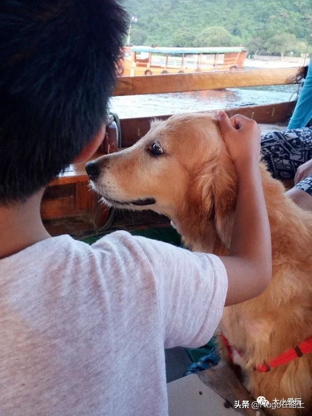 去香港亲子旅行攻略路线图片,香港亲子游最佳路线图
