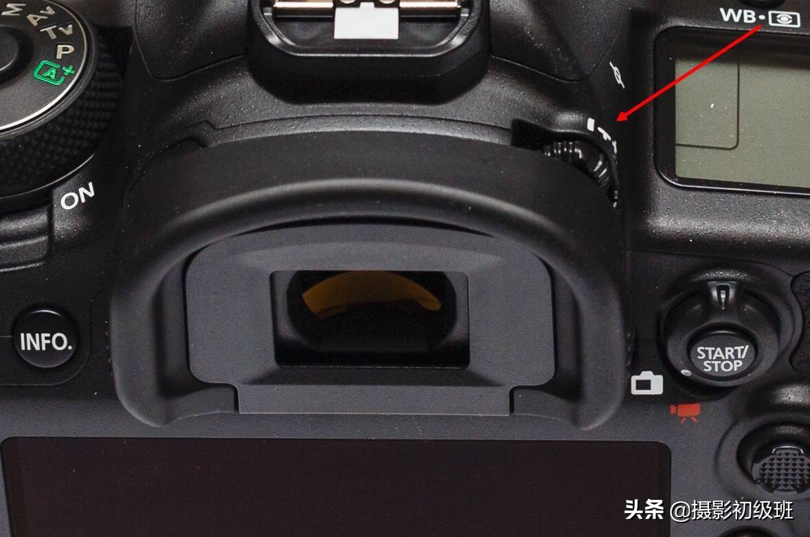 照片摄影基础知识入门,初学者学习摄影照片模糊