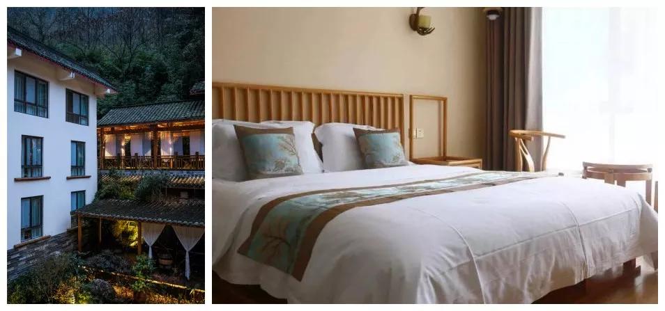 成都出发1.5h,藏在青城后山网红轻奢度假民宿,丨桐去隐泉