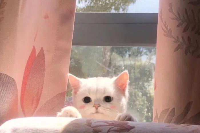 如何从0-1做自媒体,如何从0到1打造爆款