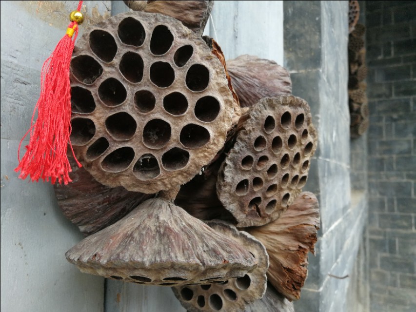 八月十四日日记,八月十四日记梦诗文