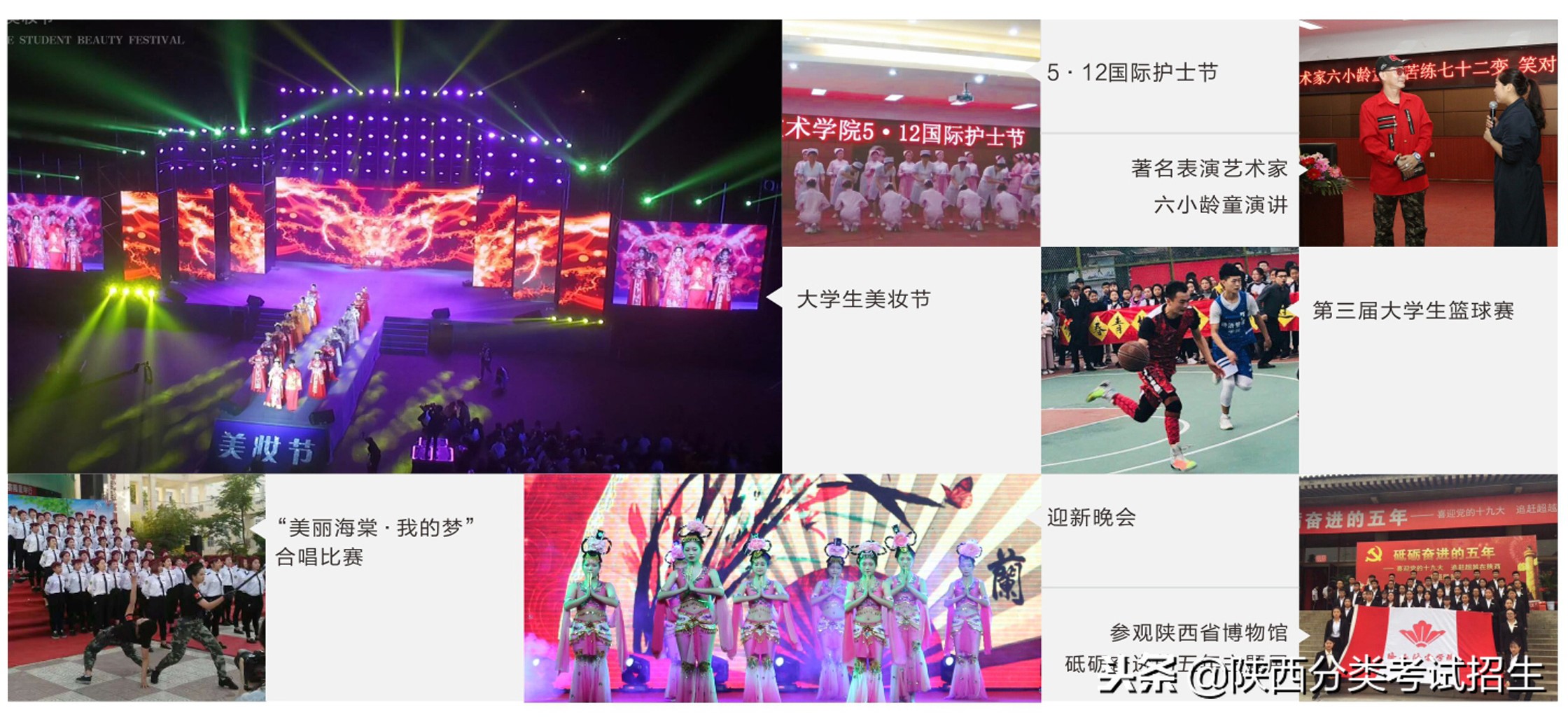 西安海棠职业学院学费,西安海棠职业学院报名