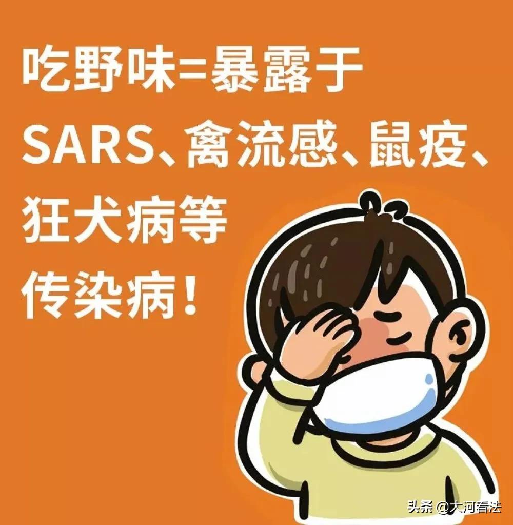 哪些动物属于野味,野生动物哪种最好吃