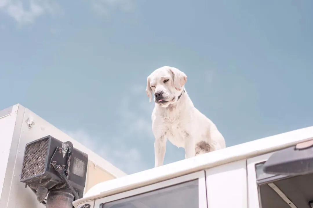 最适合改装的越野房车,三个90后开民宿