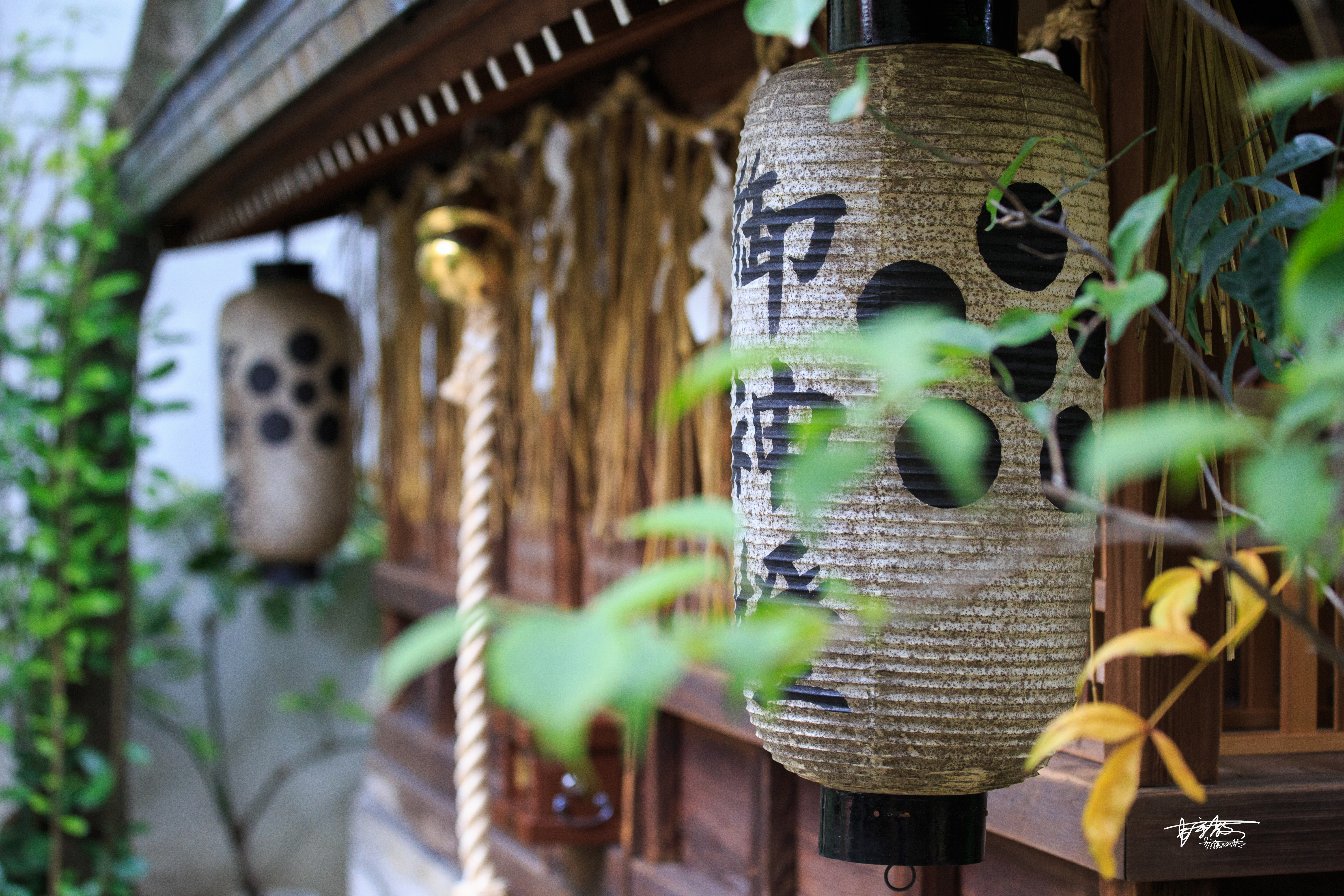 八坂神社和清水寺有何不同,伏见稻田清水寺八坂神社