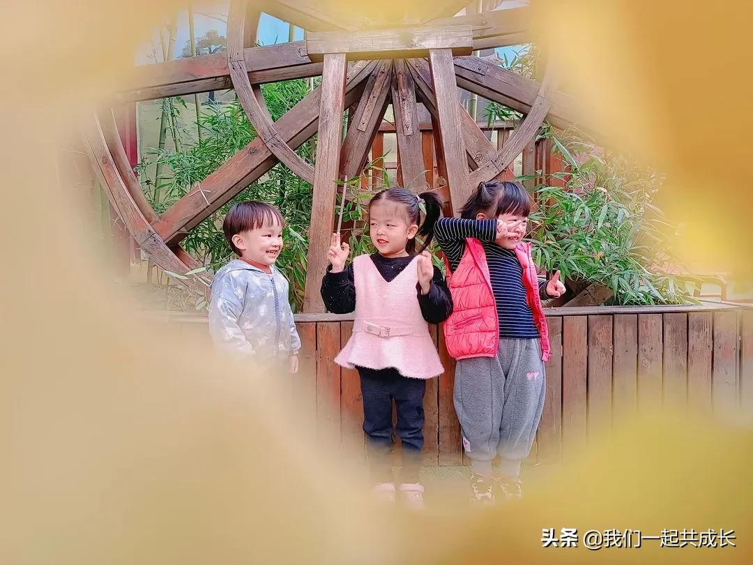 寻一抹秋色，遇一片美好：济南市启明星幼儿园的秋之美