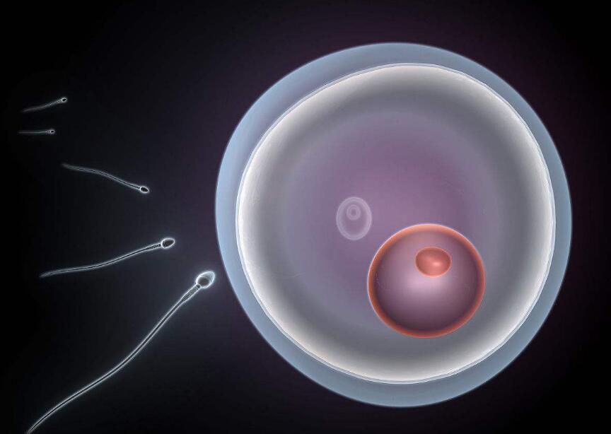 怀孕初期吃激素药孩子能要吗,怀孕初期吃了药建议要吗