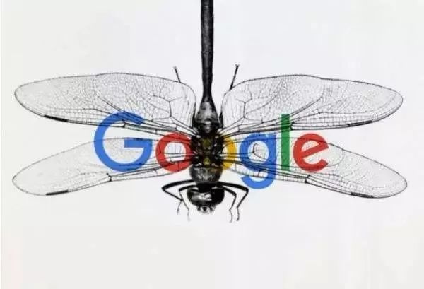 google文化理念层和制度层,google企业文化与组织行为学