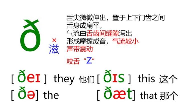 国际英语48个音标发音视频教程,英语零基础音标教程