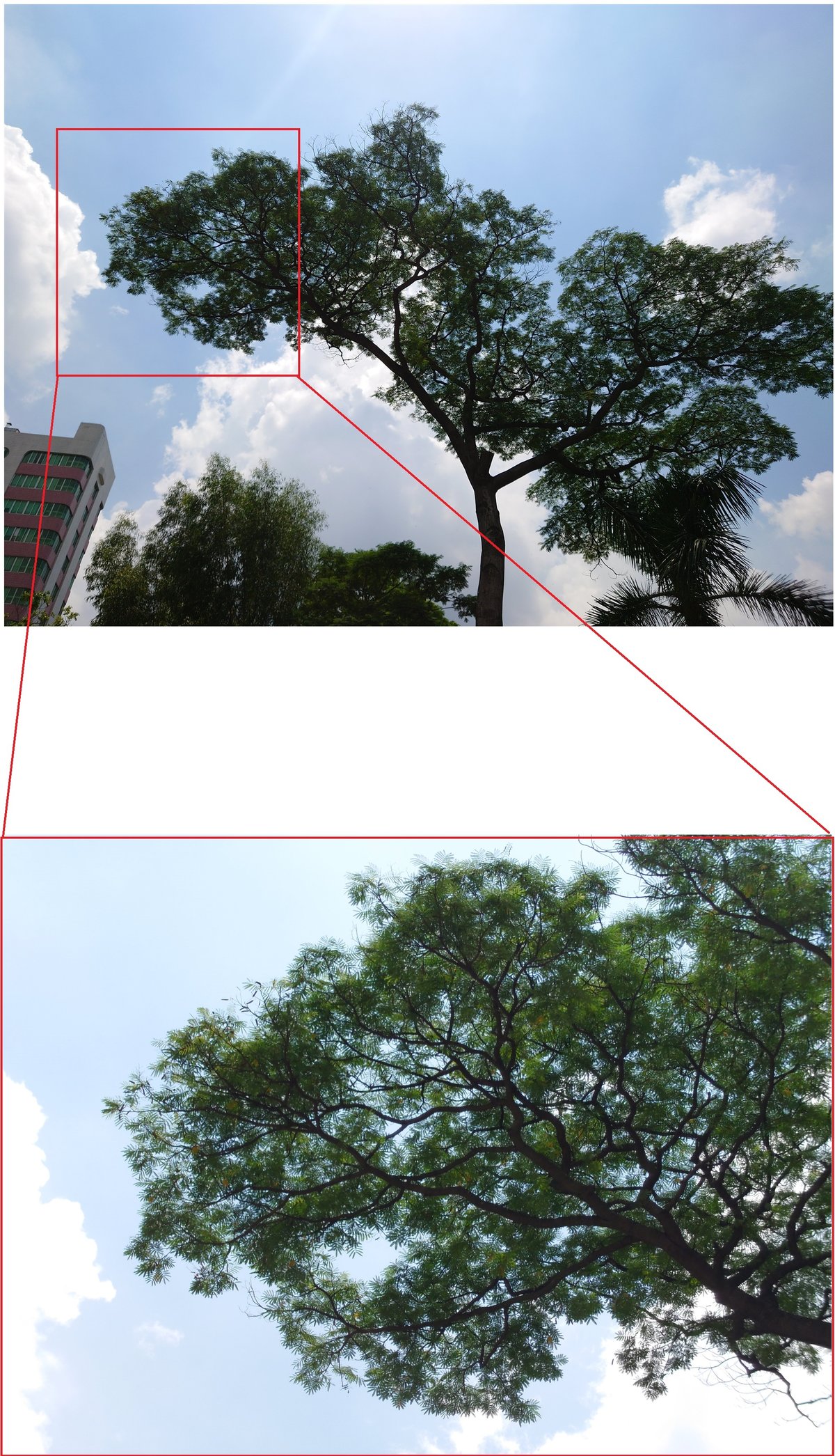 xperia1iii和xperia5iii区别,索尼xperia1iii微单微距