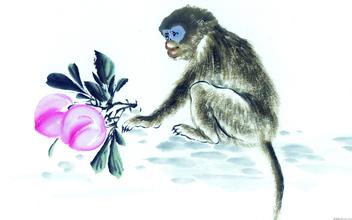 韩非非议秦国朝政,韩非犯了什么法