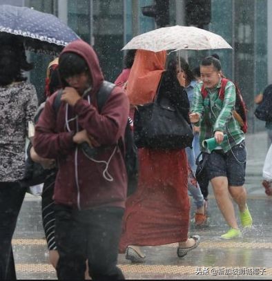 新加坡冻成狗,新加坡狂风暴雨来袭