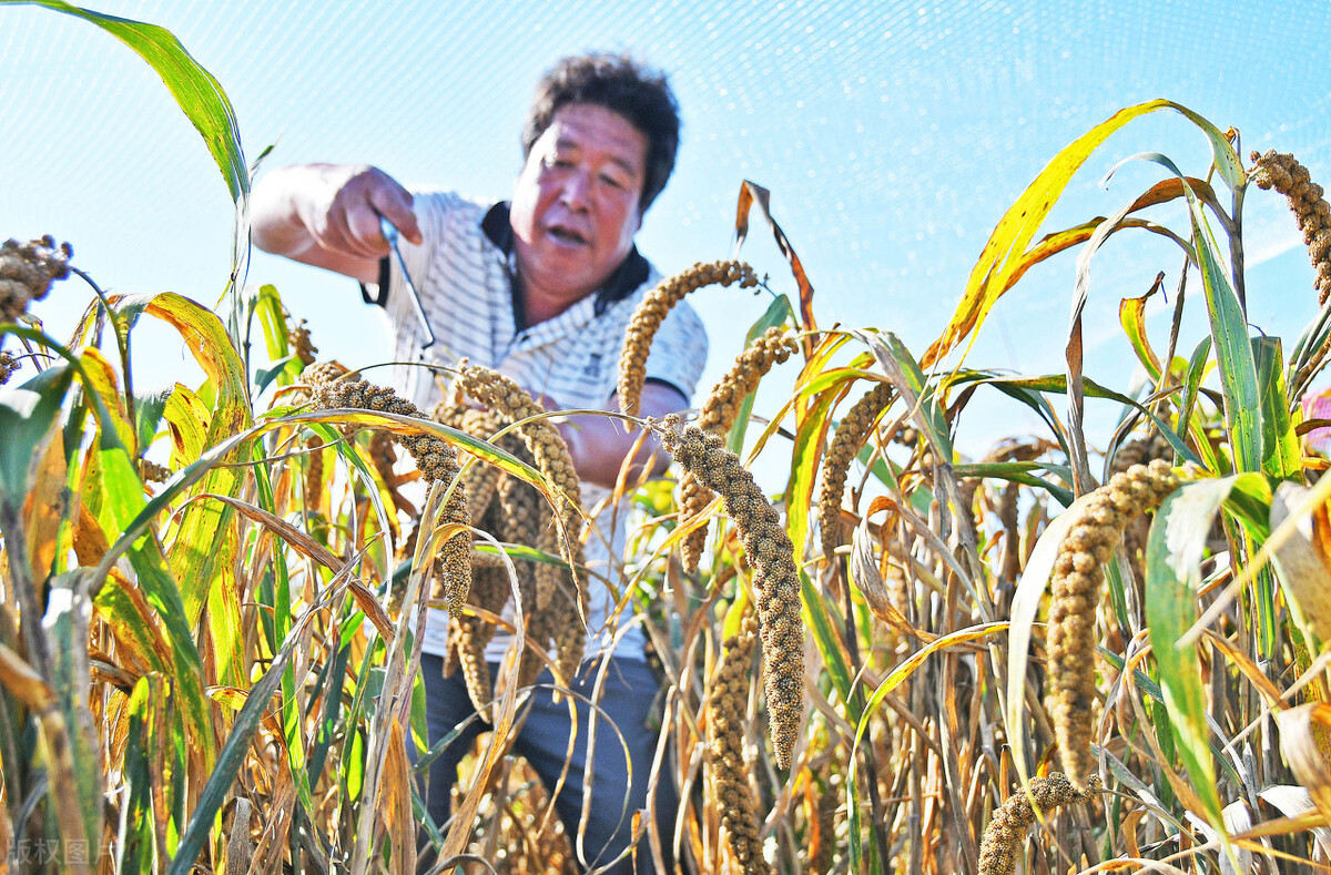 大有卦辞的哲理意义,大有卦的爻辞